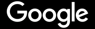 Google Partner Logo